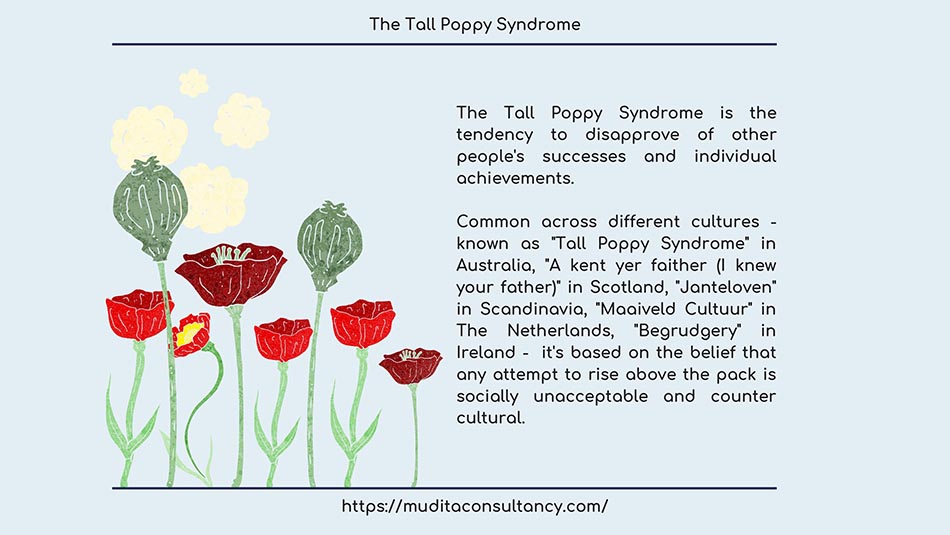 Tall poppy syndrome что это