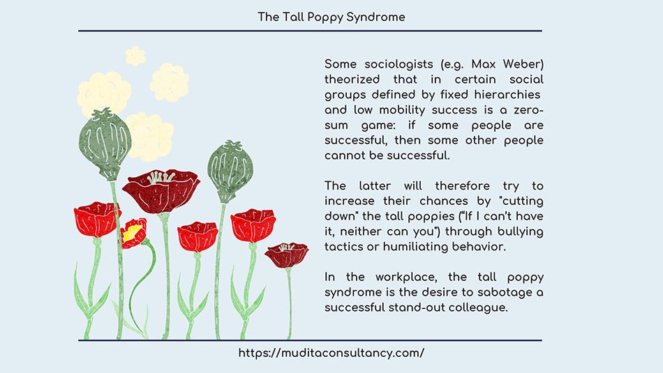 Tall poppy syndrome что это